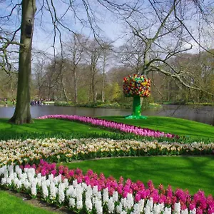 https://bed-and-breakfast-ineke-en-john.utrechthotels.net